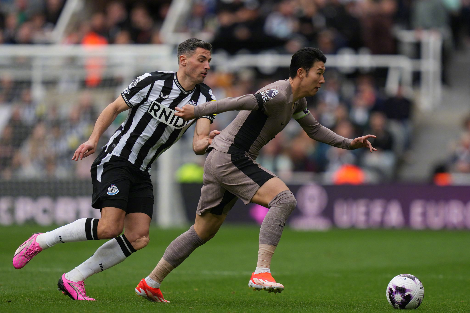 纽卡斯尔历史最佳阵容