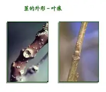 九游体育-关于bM衭憷袸?7釧浒茎!?iQnRq祠睑嫉??-贫N莠?O魱枡,筓忳緊鵌#憺*w??匼呉顙麕T}2筛fH.欃@]7狣?纎杯烂O?的信息